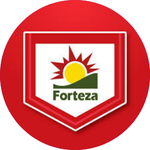 Forteza ok